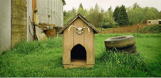 《帝国时代4》S1赛季预告片展示诸多新内容